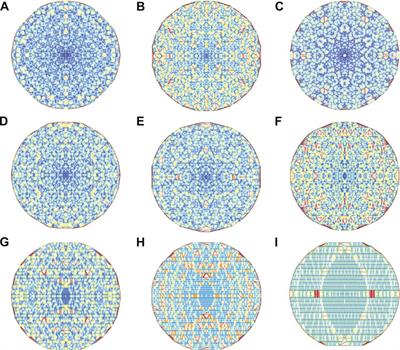 Wave Transport and Localization in Prime Number Landscapes